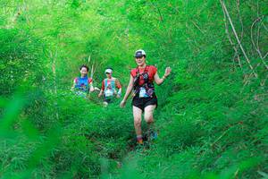 BIB: 
                            <button type="button" onclick="openModal(22096222)" class="btn btn-primary btn-sm float-right btn-popup" data-toggle="modal" data-target=".modal-high-quality">
                        <i class="fas fa-shopping-cart"></i> Add to Cart
                    </button>
                                            <button type="button" onclick="isThisMe(22096222, true)" class="btn btn-success btn-sm float-right btn-popup btn-isme hidden" data-toggle="tooltip" data-placement="bottom" title="นี่คือรูปของคุณใช่ไหม คลิกที่นี่เพื่อเอาเข้าอัลบั้ม">
                        <i class="fas fa-plus"></i> Add to album
                    </button>
                    <button type="button" onclick="isThisMe(22096222, false)" class="btn btn-warning btn-sm float-right btn-popup btn-isnotme hidden">
                        <i class="fas fa-ban"></i> Remove from album
                    </button>